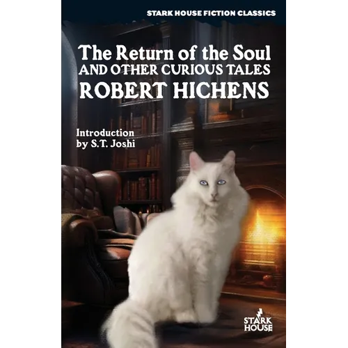 The Return of the Soul & Other Curious Tales - Paperback