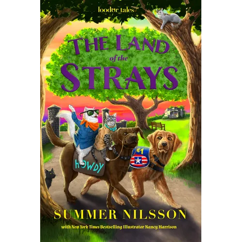 The Land of the Strays (Loodor Tales) - Hardcover