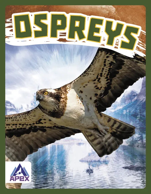 Ospreys - Library Binding