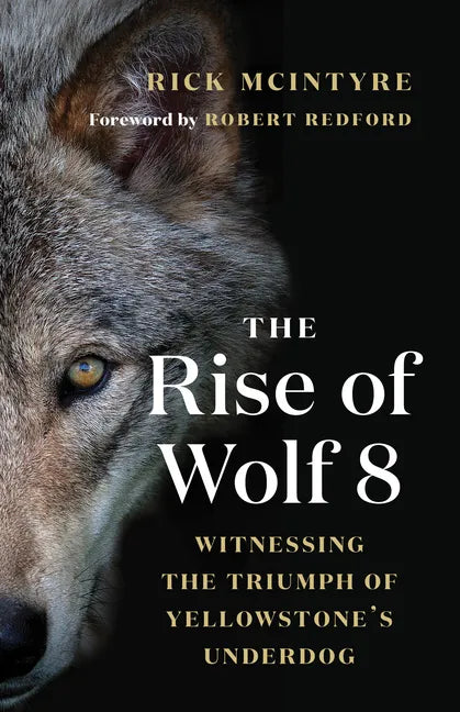 The Rise of Wolf 8: Witnessing the Triumph of Yellowstone's Underdog - Paperback