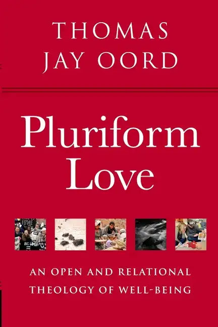 Pluriform Love: An Open and Relational Theology of Well-Being - Paperback