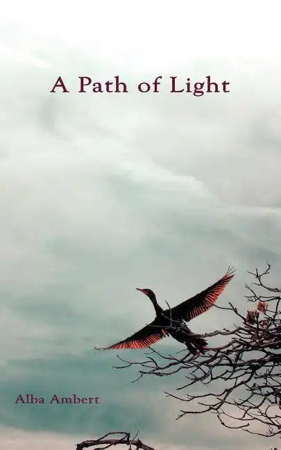 A Path of Light - Paperback