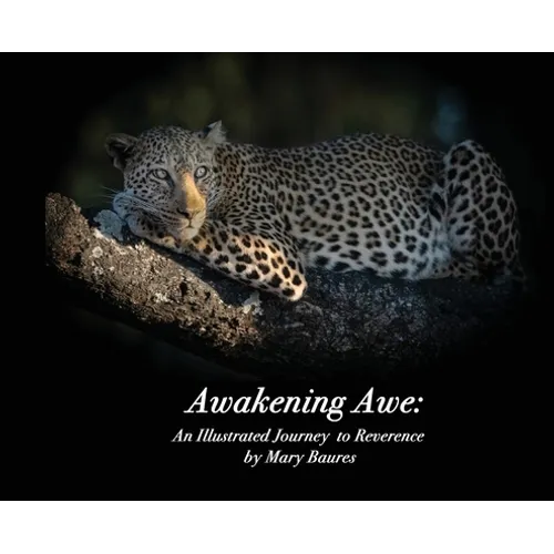 Awakening Awe: An Illustrated Journey to Reverence - Hardcover