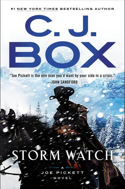 Storm Watch - Hardcover