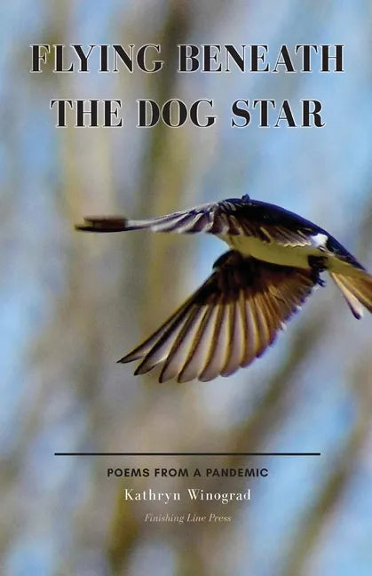 Flying Beneath the Dog Star: Poems from a Pandemic - Paperback