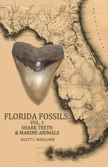 Florida Fossils: Shark Teeth & Marine Animals - Paperback