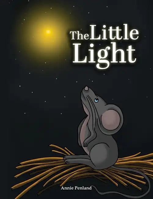 The Little Light - Paperback