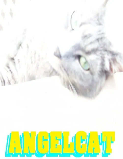 Angel Cat: Anime Manga Comic Book Ghost Soul Angel Heaven War Battle Good vs Evil Teenager Cat - Paperback