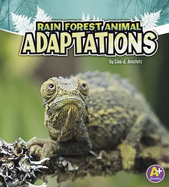 Rain Forest Animal Adaptations - Paperback
