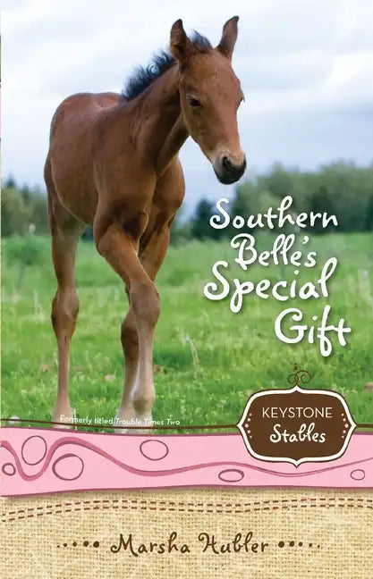 Southern Belle's Special Gift: 3 - Paperback
