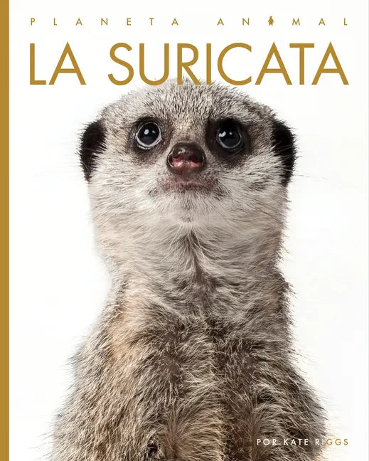 La Suricata - Library Binding