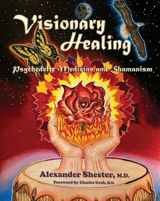 VISIONARY HEALING Psychedelic Medicine and Shamanism - Paperback