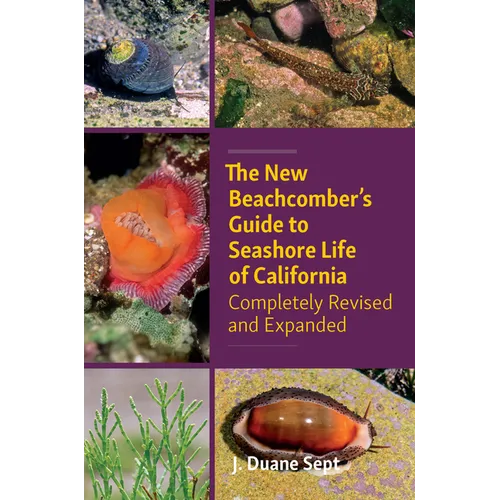 The New Beachcomber's Guide to Seashore Life of California: Completely Revised and Expanded - Paperback