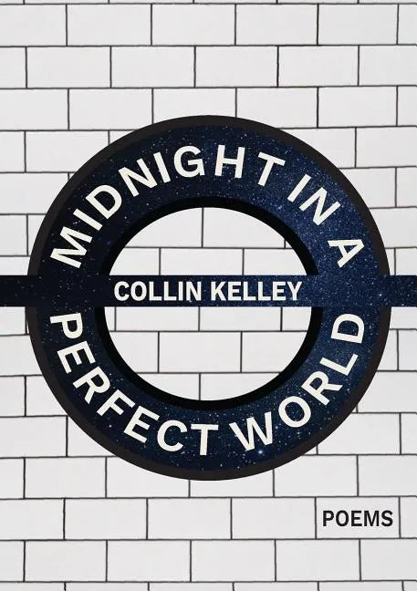 Midnight in a Perfect World - Paperback
