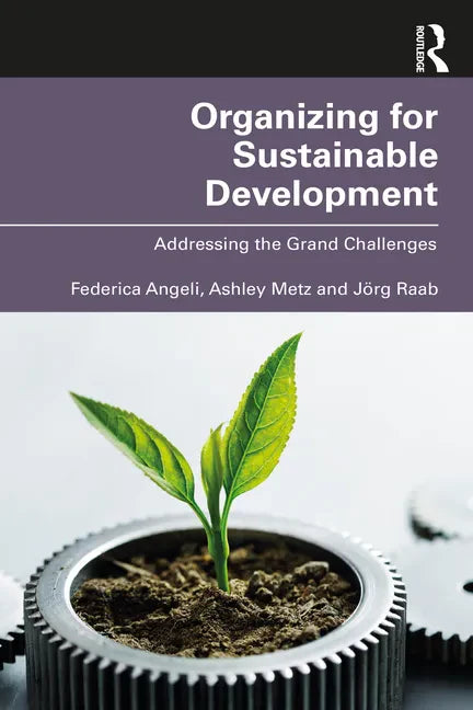 Organizing for Sustainable Development: Addressing the Grand Challenges - Paperback