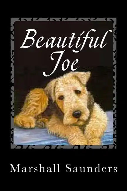 Beautiful Joe - Paperback