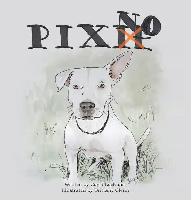 Pixno! - Hardcover