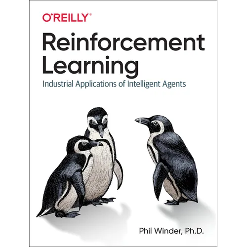 Reinforcement Learning: Industrial Applications of Intelligent Agents - Paperback