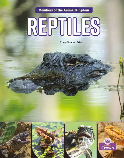 Reptiles - Paperback