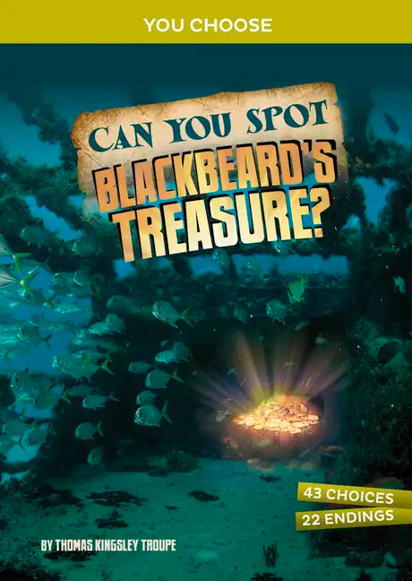 Can You Spot Blackbeard's Treasure?: An Interactive Treasure Adventure - Hardcover