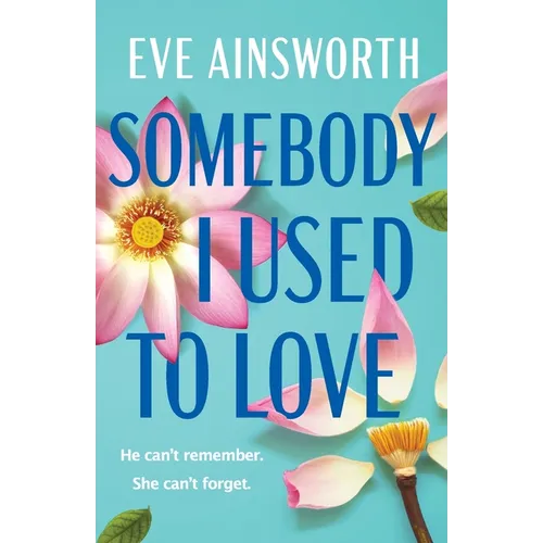 Somebody I Used to Love - Paperback