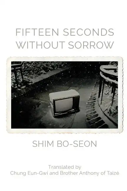 Fifteen Seconds without Sorrow - Paperback