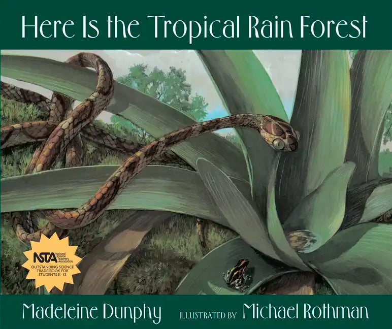 Here Is the Tropical Rain Forest - Hardcover