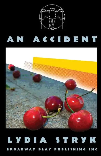An Accident - Paperback