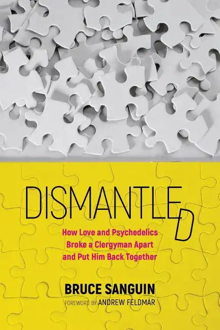 Dismantled: How Love and Psychedelics Broke a Clergyman Apart and Put Him Back Together - Paperback