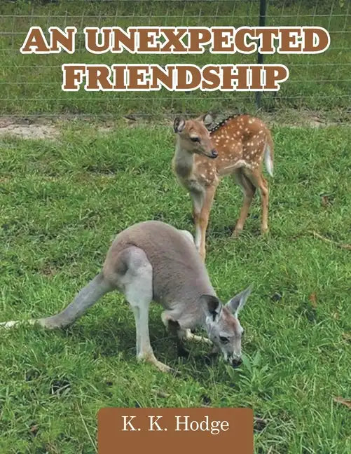 An Unexpected Friendship - Paperback