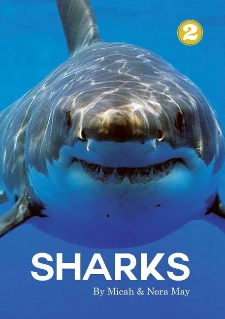 Sharks - Paperback