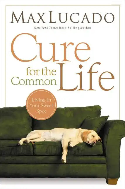 Cure for the Common Life: Living in Your Sweet Spot - Paperback