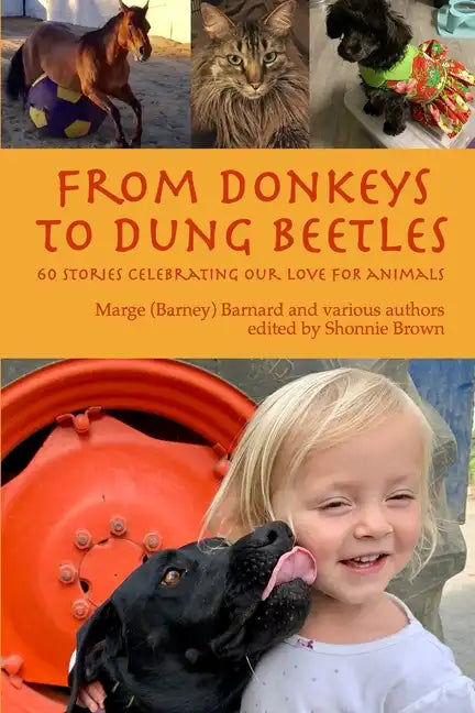 From Donkeys to Dung Beetles: 60 Stories Celebrating Our Love For Animals - Paperback