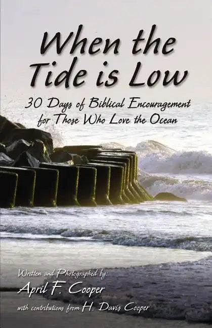 When the Tide is Low Softcover - Paperback