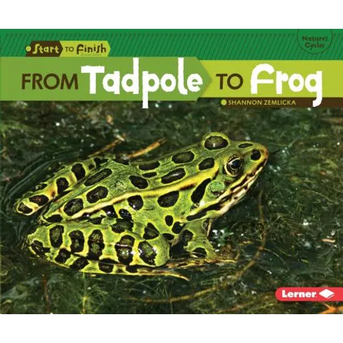 From Tadpole to Frog - Paperback