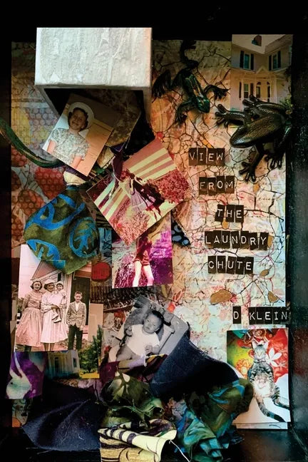 View from the Laundry Chute - Paperback