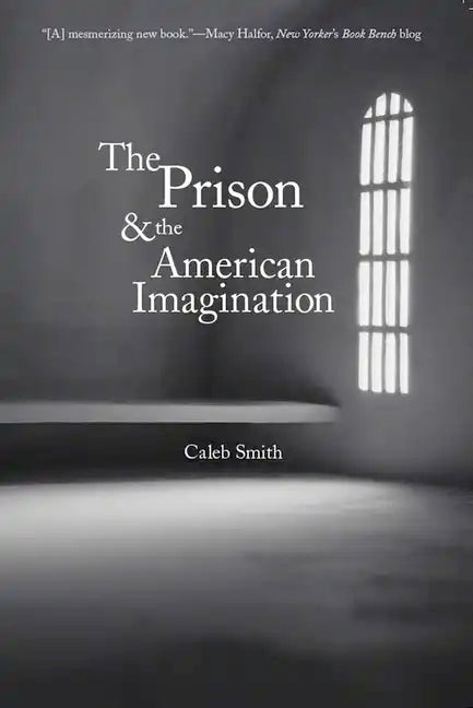 The Prison and the American Imagination - Paperback