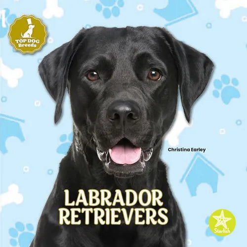 Labrador Retrievers - Paperback