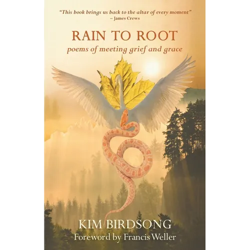 Rain to Root: poems of meeting grief and grace - Paperback