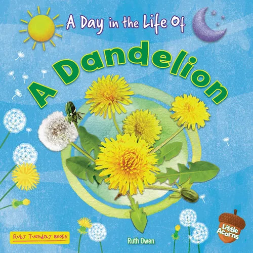 A Dandelion - Paperback
