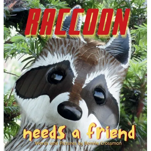 Raccoon Needs a Friend: A unique and beautiful children's picture book about friendship and being brave when you are shy - Hardcover