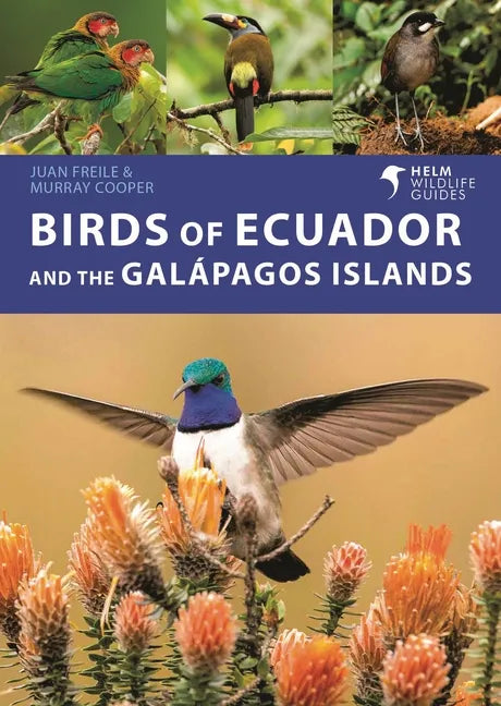 Birds of Ecuador and the Galápagos Islands - Paperback