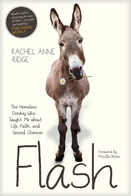 Flash: The Homeless Donkey Who Taught Me about Life, Faith, and Second Chances - Paperback