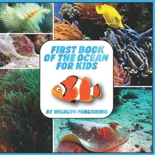 First Book Of The Ocean For Kids: Ocean Animals Activity Book - Paperback