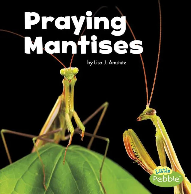 Praying Mantises - Paperback