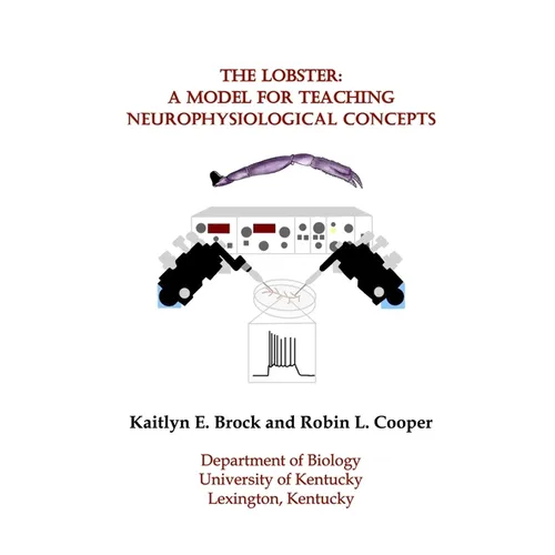 The Lobster: A Model for Teaching Neurophysiological Concepts - Paperback
