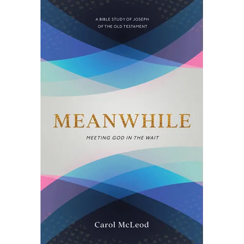 Meanwhile: Meeting God in the Wait - Paperback