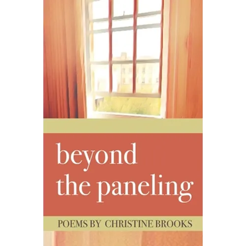 beyond the paneling - Paperback