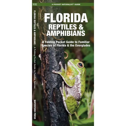 Florida Reptiles & Amphibians: A Folding Pocket Guide to Familiar Species of Florida & the Everglades - Paperback