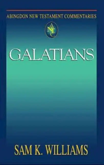 Abingdon New Testament Commentaries: Galatians - Paperback